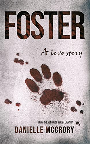 Foster A Love Story