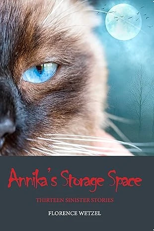 Annikas Storage Space Thirteen Sinister Stories wp