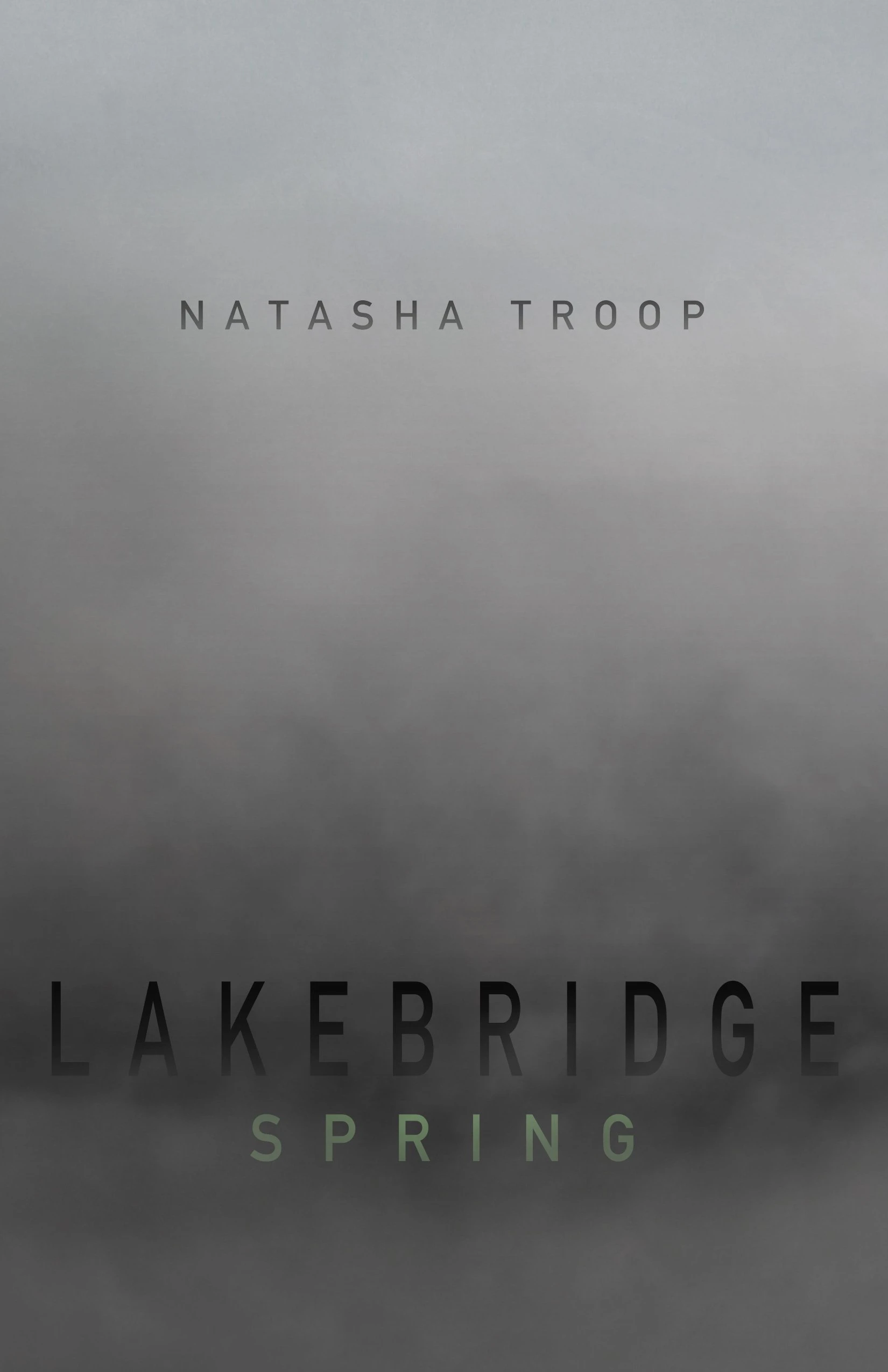 Lakebridge Spring Supernatural Horror Literary Fiction The Lakebridge Cycle 4 book Series 1 wp